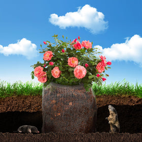 Noamus reusable wire mesh keeps garden protection year after year.