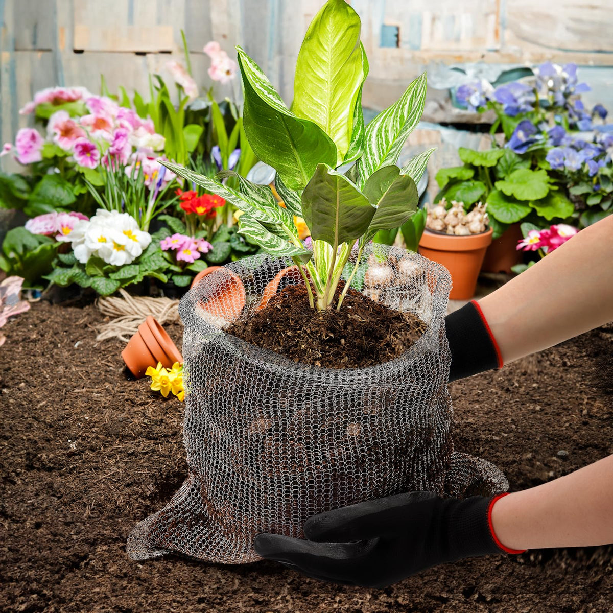Noamus stainless steel mesh root guard protects garden roots with durable rust resistance.