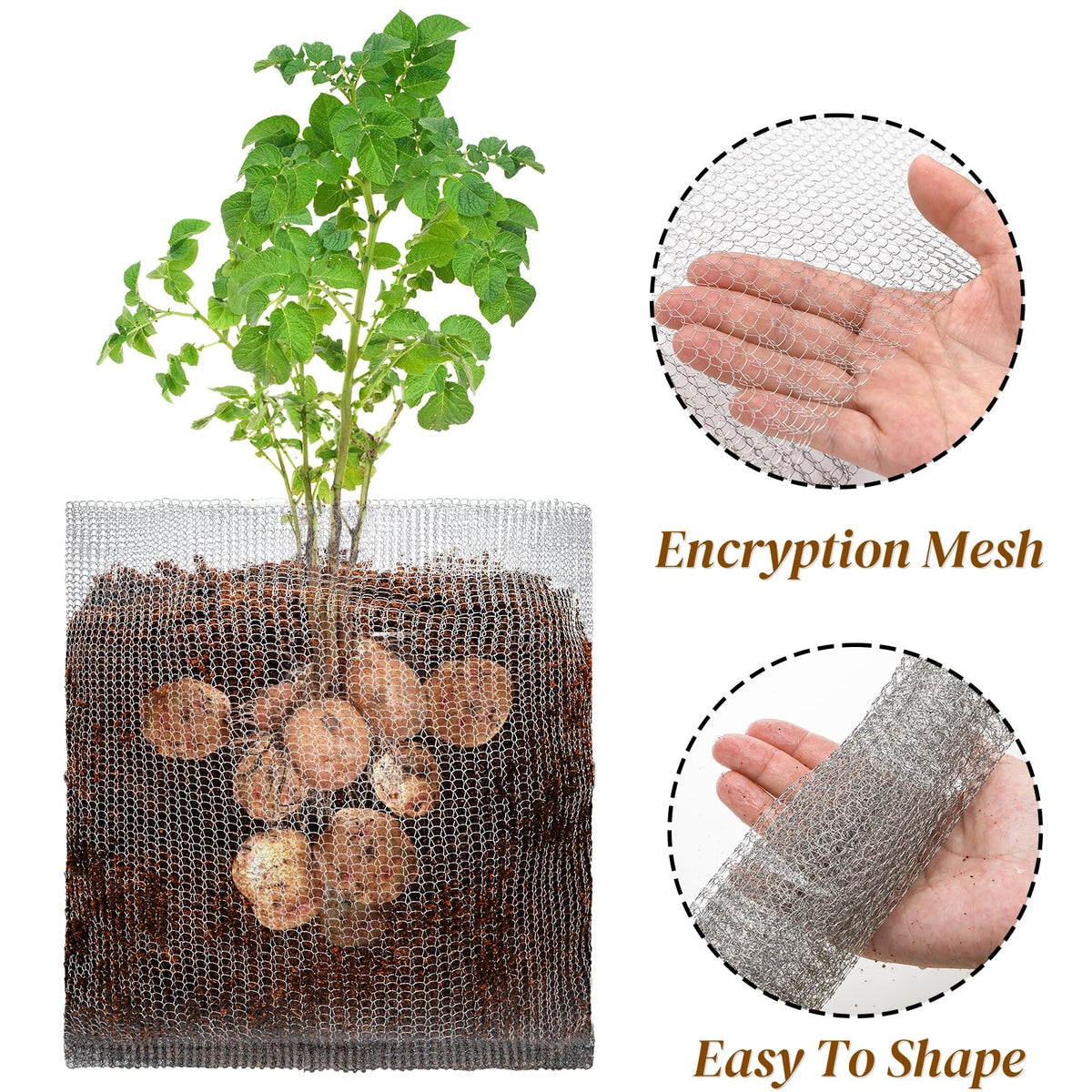 Noamus versatile guard for trees, bulbs, berries, citrus, and more.