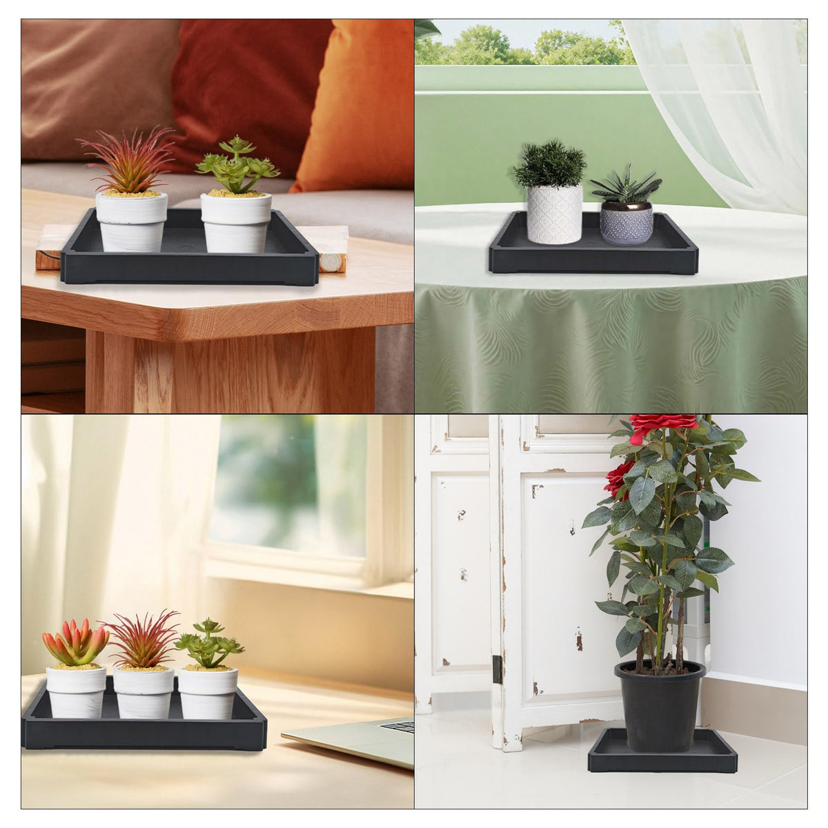 Nobirise bonsai-succulents-herbs tray under plants reduces mess.