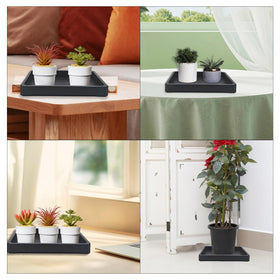 Nobirise bonsai-succulents-herbs tray under plants reduces mess.