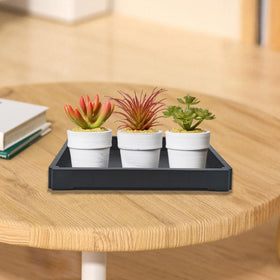 Nobirise compact tray fits narrow windowsills and shelves neatly.