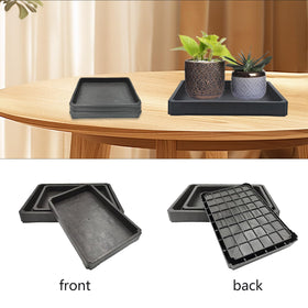 Nobirise humidity-boost tray helps tropical greens thrive in dry interiors.