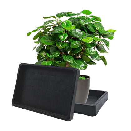 Nobirise rectangular plant saucer under a pot protects surfaces from water stains.