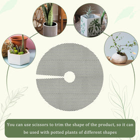 NODMIPNS animal and baby digging protection for soil in pots
