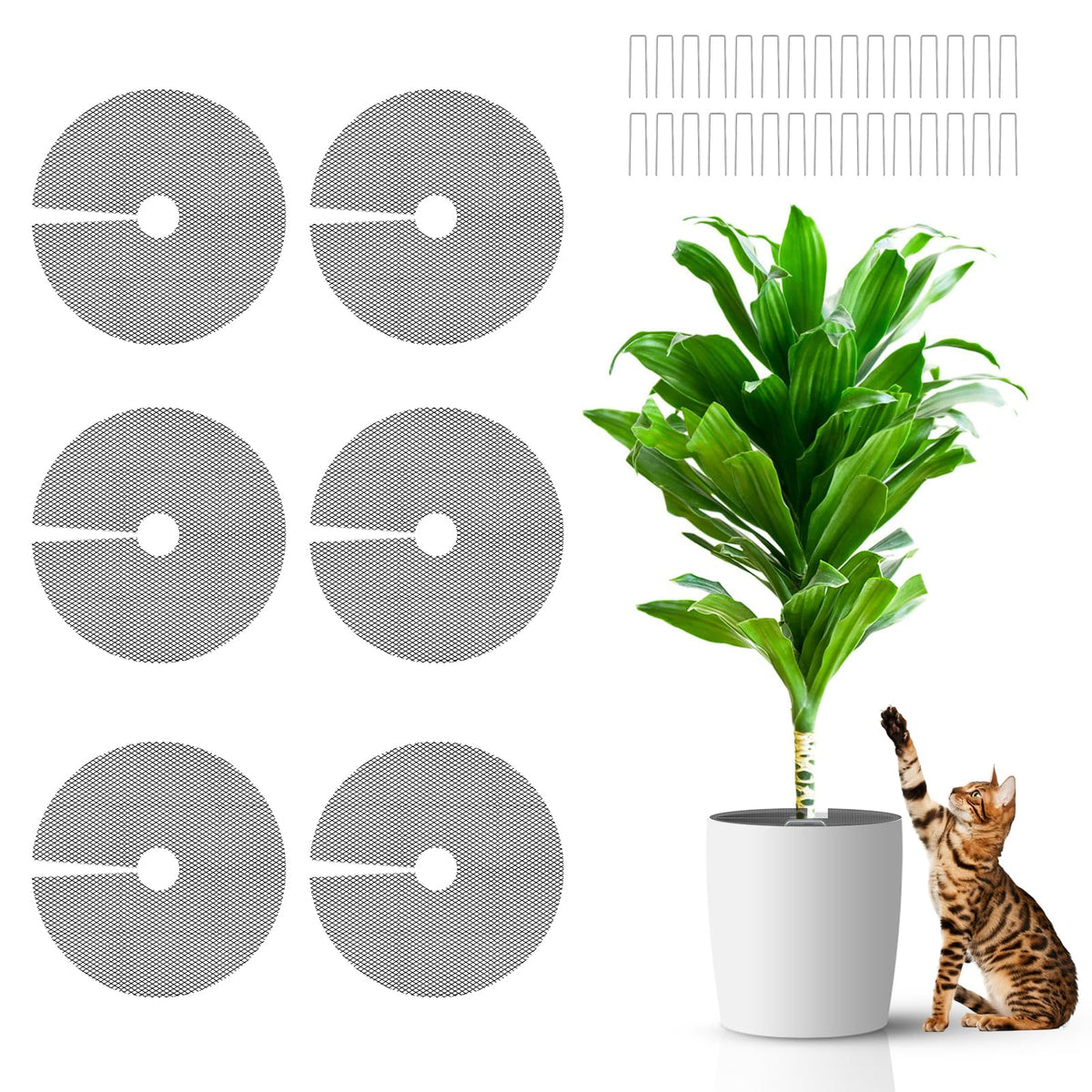 NODMIPNS plant pot grid set protecting soil in indoor pots