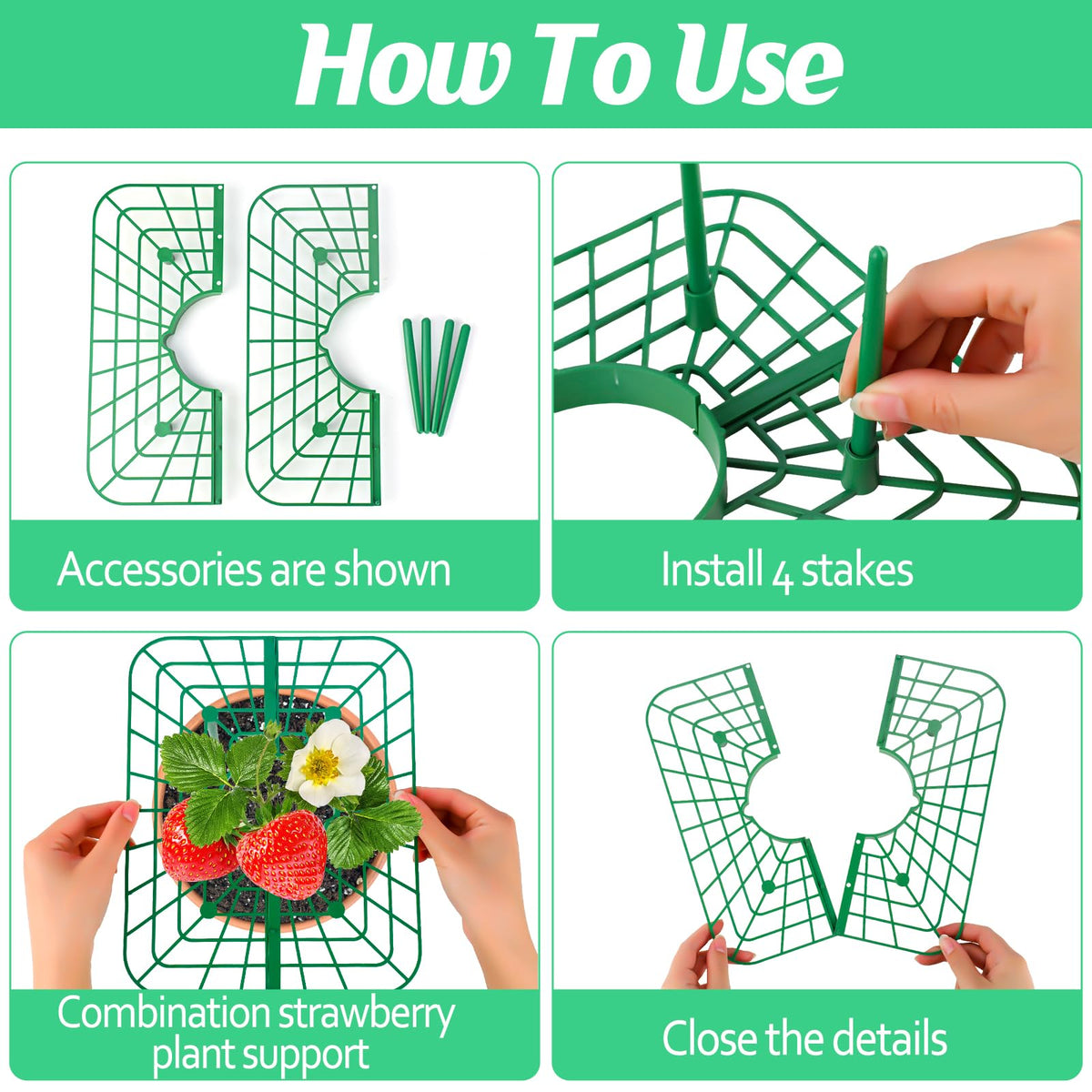 NODMIPNS strawberry growing trays keep plants organized for early development.