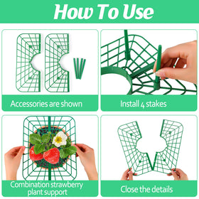 NODMIPNS strawberry growing trays keep plants organized for early development.