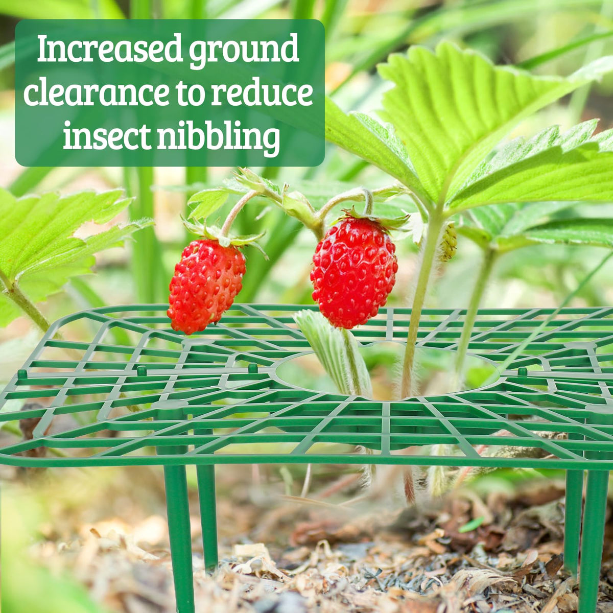 NODMIPNS strawberry protection kit deters pests while preserving airflow.
