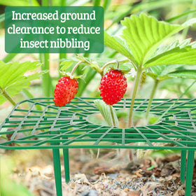 NODMIPNS strawberry protection kit deters pests while preserving airflow.