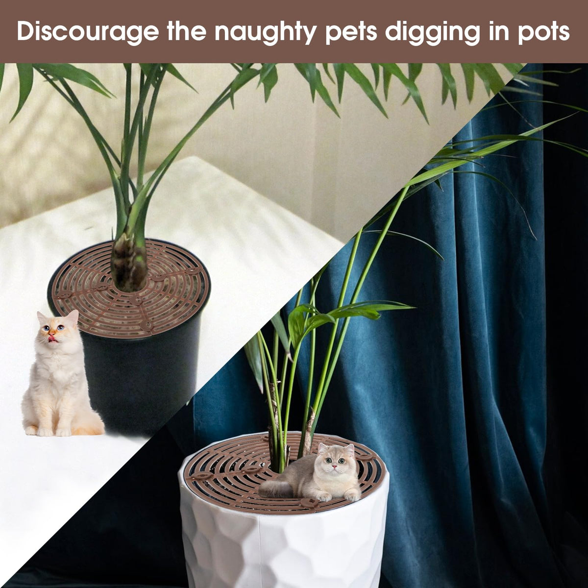 Nogeqi ground nails included for secure placement indoors and outdoors.