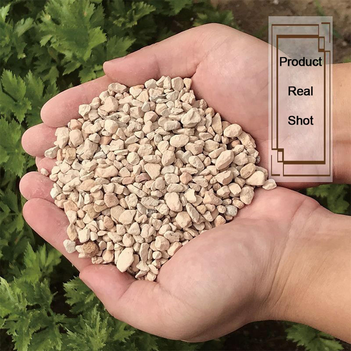 NOHOBE diatomite rocks in outdoor container garden boosting drainage and root growth