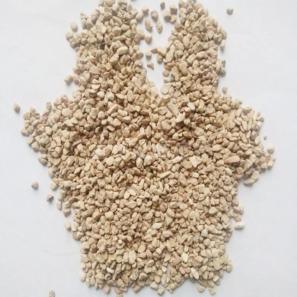 NOHOBE diatomite rocks displaying natural, pet-safe substrate with stable pH around eight