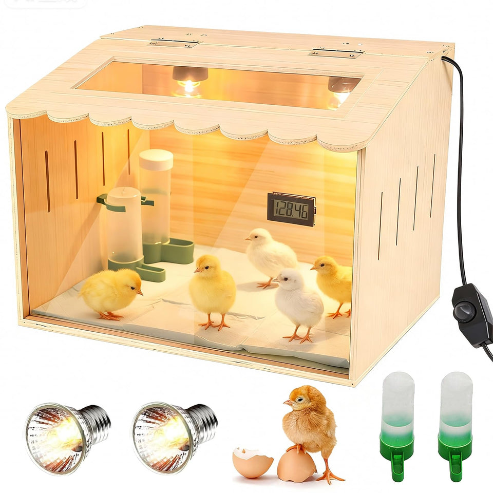 Nollapo chick brooder front view with dual heaters for even warmth.