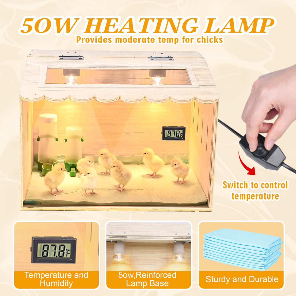 Nollapo brooder interior with panoramic window for easy observation.