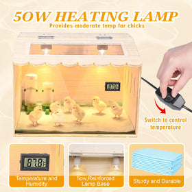 Nollapo brooder interior with panoramic window for easy observation.
