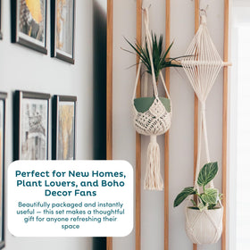 Nook Theory display with varying pot sizes creates depth.
