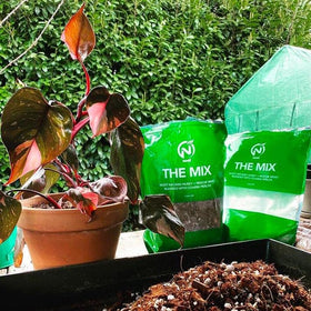 Noot Potting Soil Mix suits tropicals, succulents, and orchids.