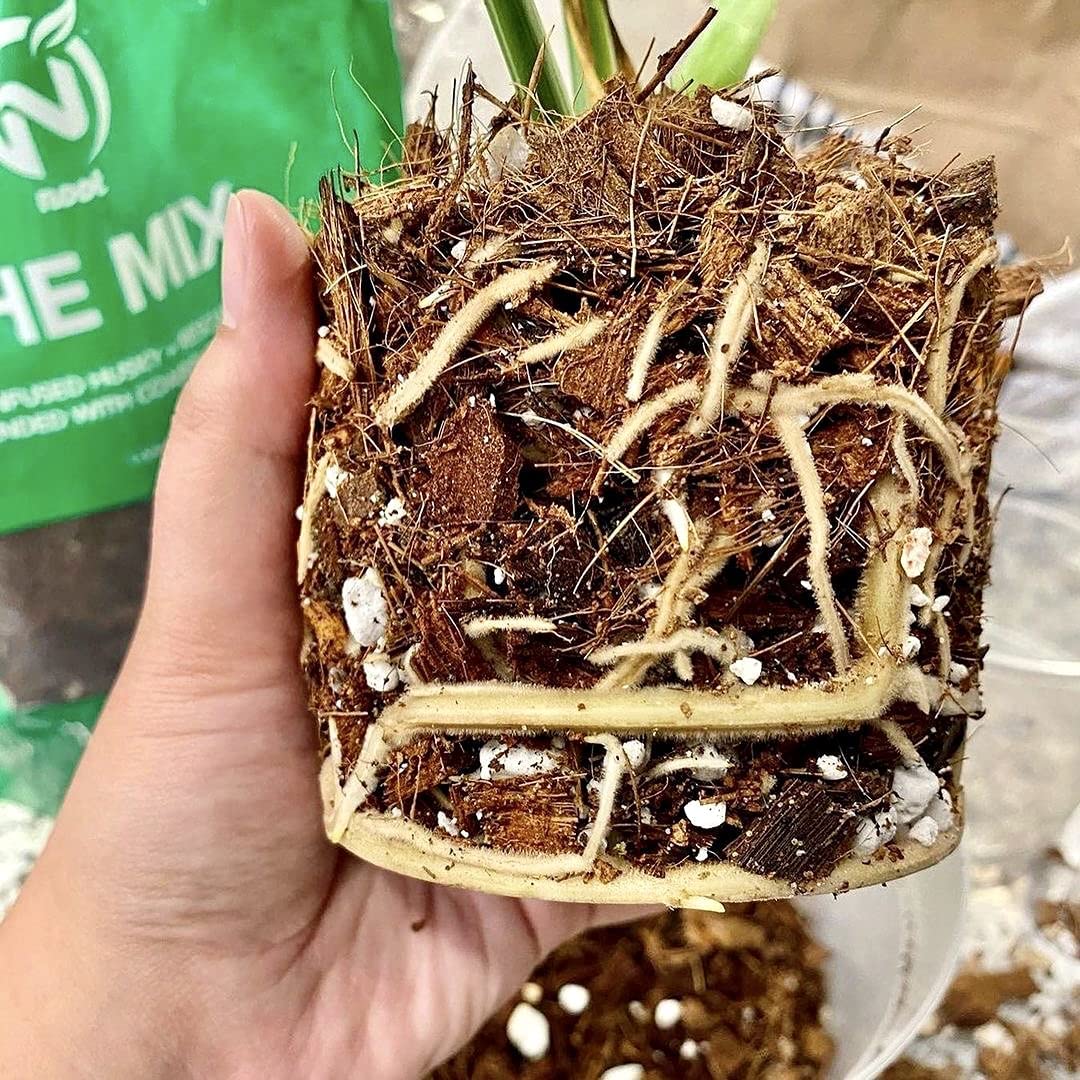 Noot Potting Soil Mix contains microbial bio-organic communities for vitality.