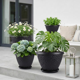 Set of Nooulap pots for flowers, herbs, and succulents in a cohesive display.