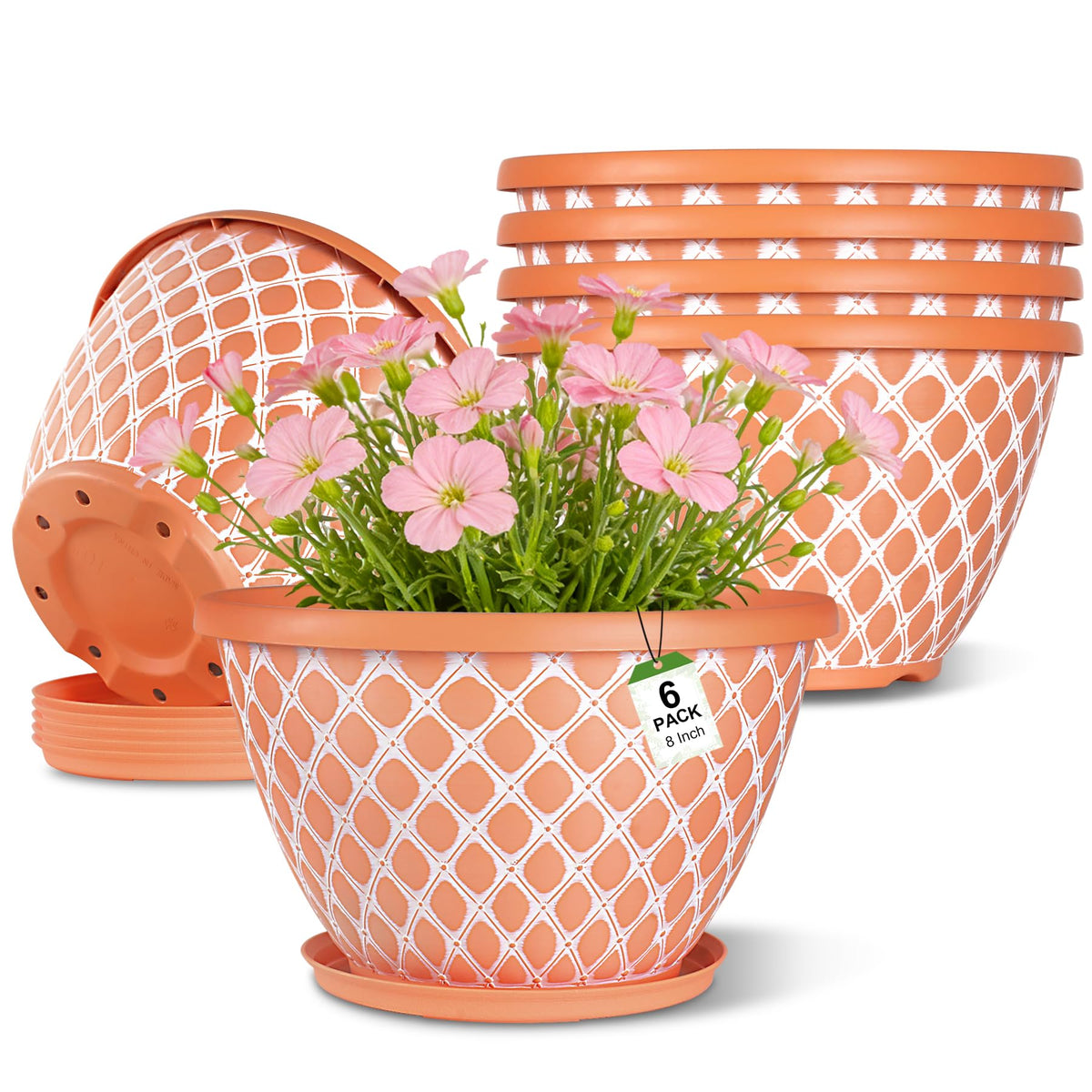 Nooulap eight inch orange grid texture planter for compact succulents.