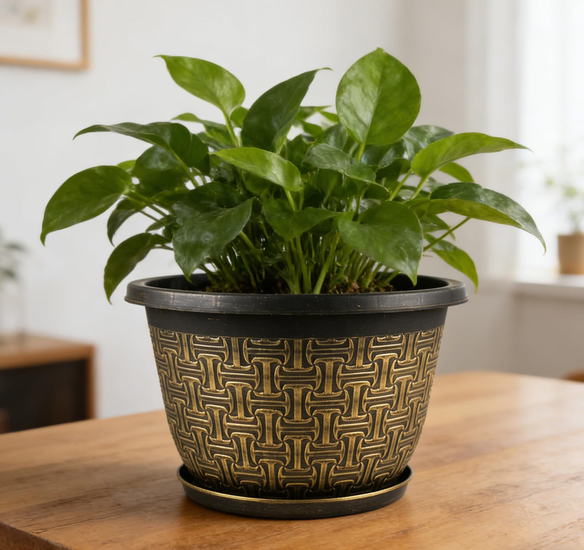 Nooulap drainage holes ensure healthy watering for thriving plants.
