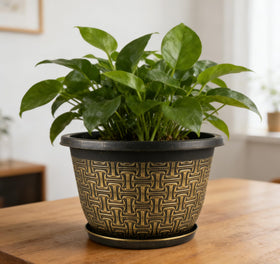 Nooulap drainage holes ensure healthy watering for thriving plants.