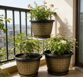 Nooulap pots with saucers simplify cleanup after watering.