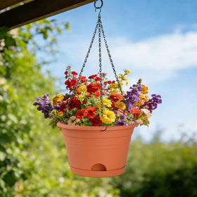 Nooulap 10 inch hanging basket complements balcony gardens with space-saving design.