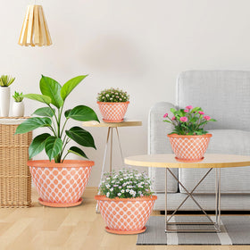 Nooulap versatile planter enhances entryways, windowsills, and patios.