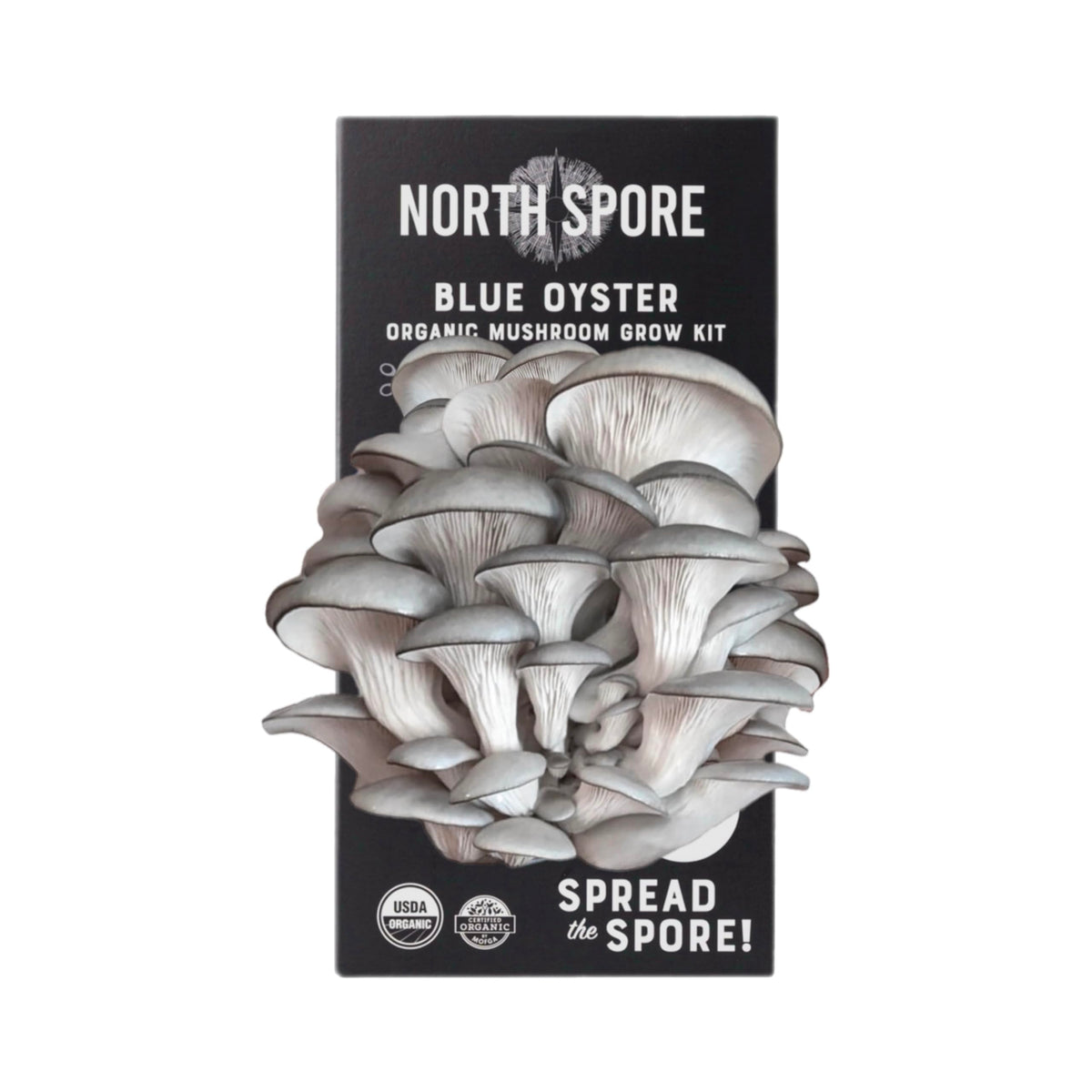 North Spore Blue Oyster Spray & Grow Kit contents for beginners