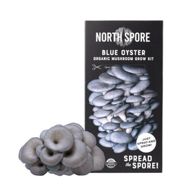 North Spore Blue Oyster Mushroom kit sprayer for easy watering