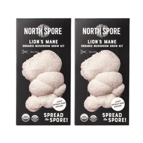 North Spore Lions Mane mushroom kit front view supports easy at-home cultivation