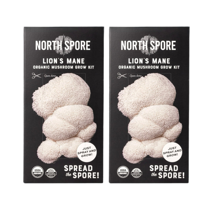 North Spore Lions Mane mushroom kit front view supports easy at-home cultivation