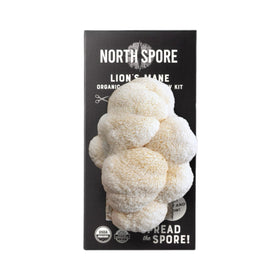 North Spore Lions Mane kit open box shows beginner-friendly components