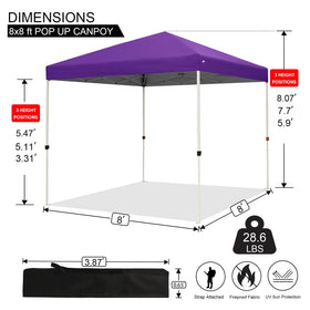 Northroad pop-up canopy carrying bag for easy transport