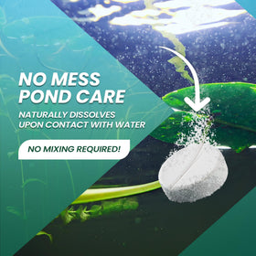 Not Rocket Sciences Koi pond tablets with enzymes promote natural waste breakdown