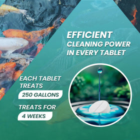 Not Rocket Sciences tablet dosing around a koi pond ensures even muck reduction