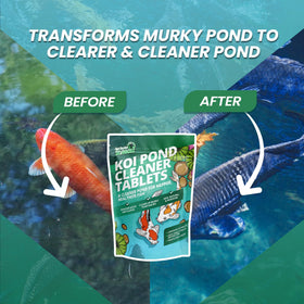 Not Rocket Sciences tablets dissolving in water to improve clarity and support healthier pond life