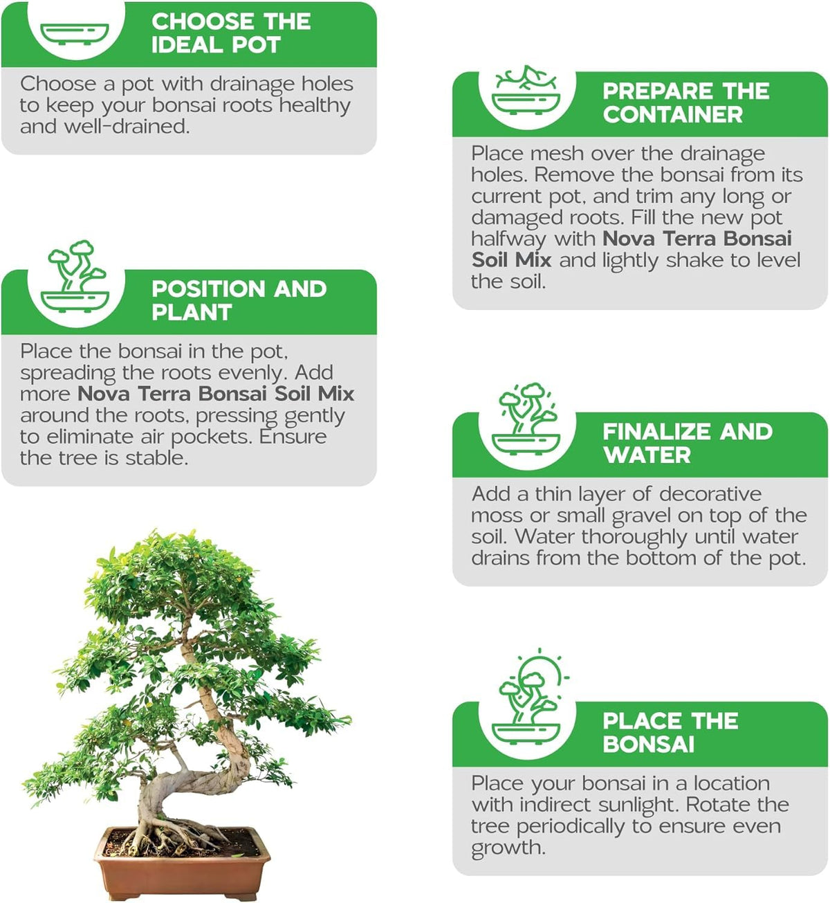 Nova-TERRA akadama soil blend adds texture and root balance.