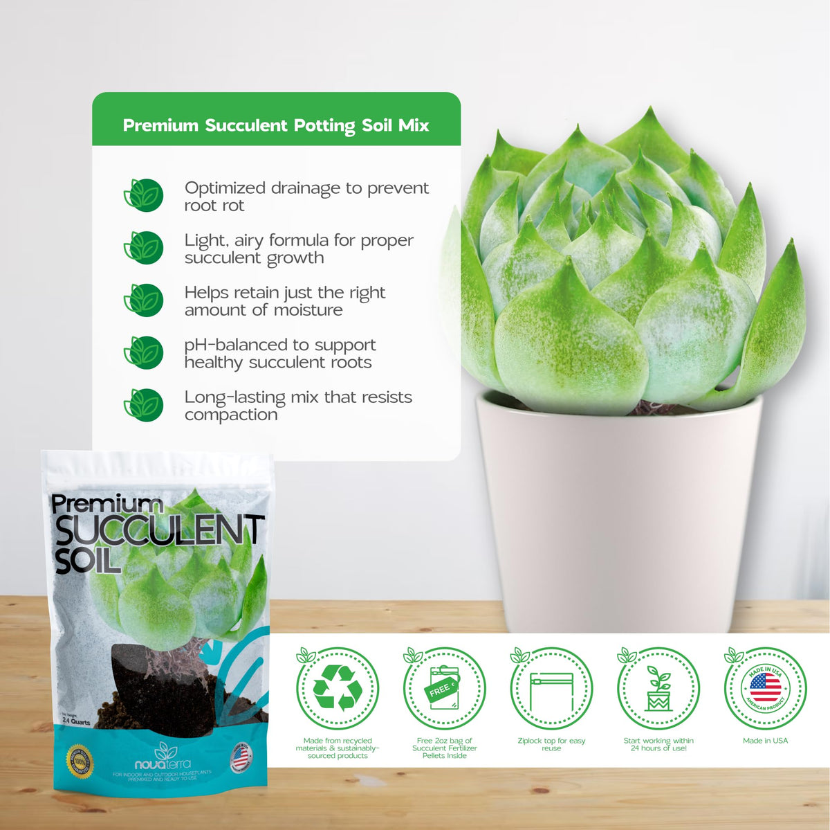 Nova-TERRA succulent soil bag open for quick indoor potting