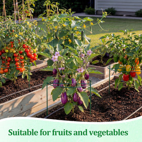Novabright iron construction delivers durable, weather-ready support for peonies and vines.