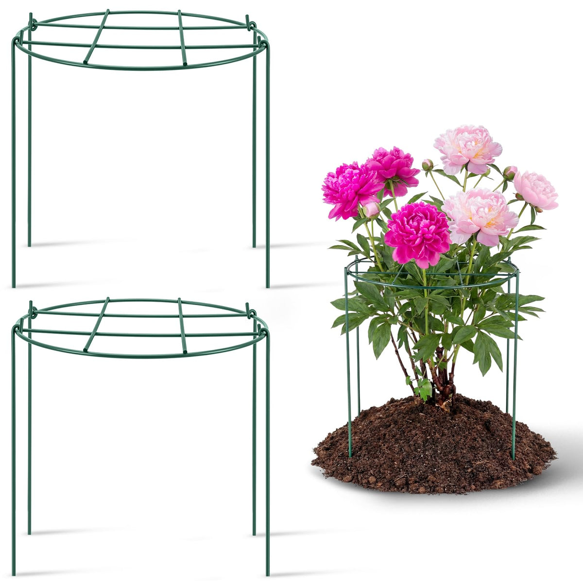 Novabright peony cage assembly demonstrates tool-free setup for quick plant support.