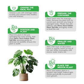 NOVA-TERRA coco coir and dolomite support a healthy root environment.
