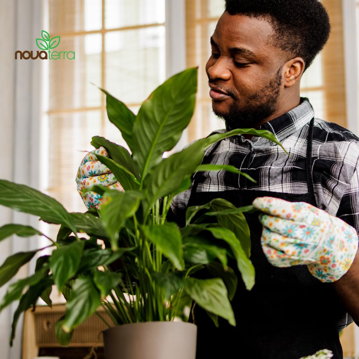 NOVA-TERRA indoor-ready soil for houseplants balances moisture for healthy growth.