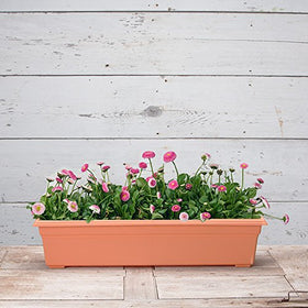 Novelty Countryside planter with ridges detail emphasizing sturdy design.