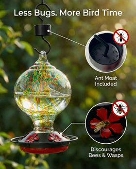 Novoto hummingbird feeder with ant moat to block crawling insects