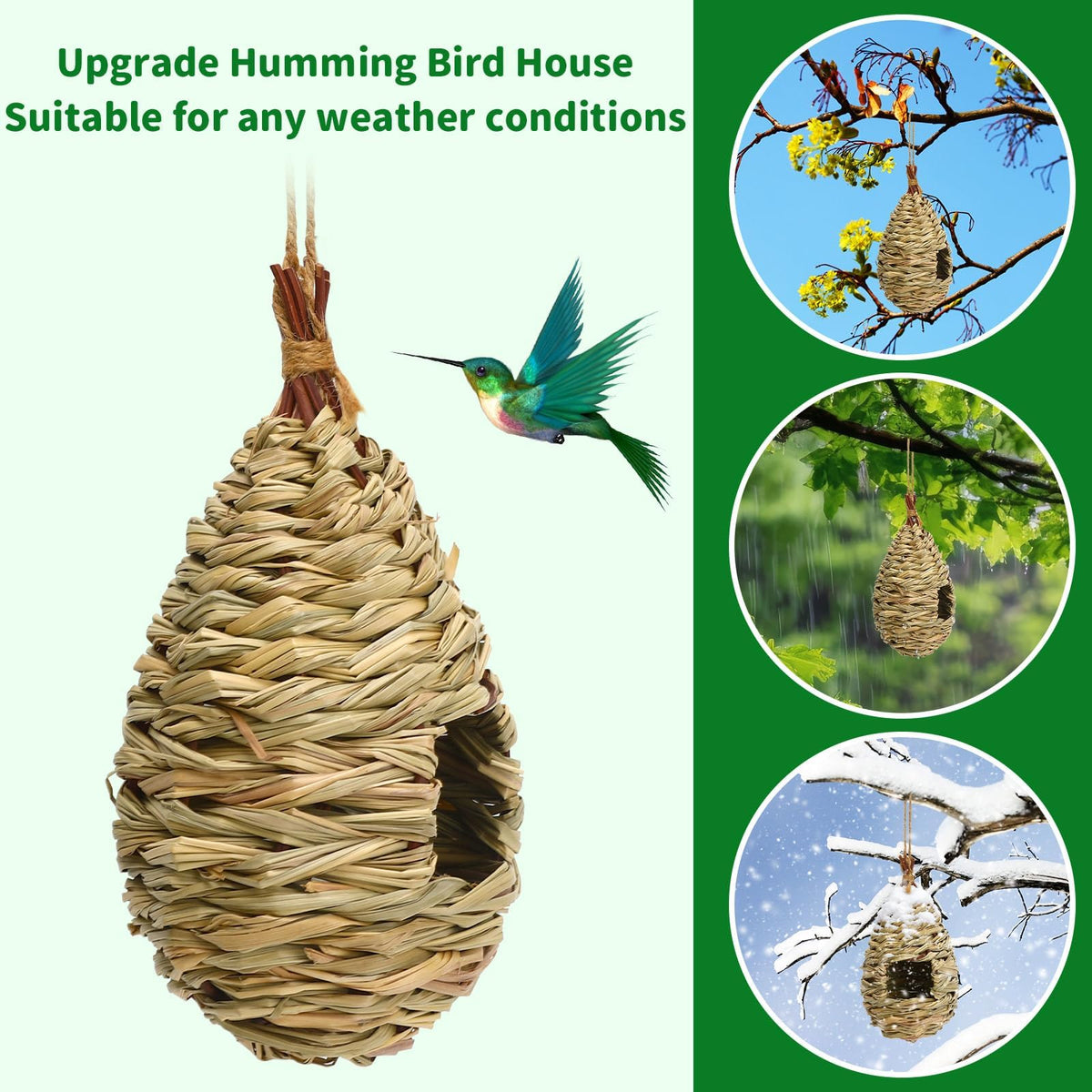 NOVWANG small bird nest entry hole designed for tiny backyard visitors