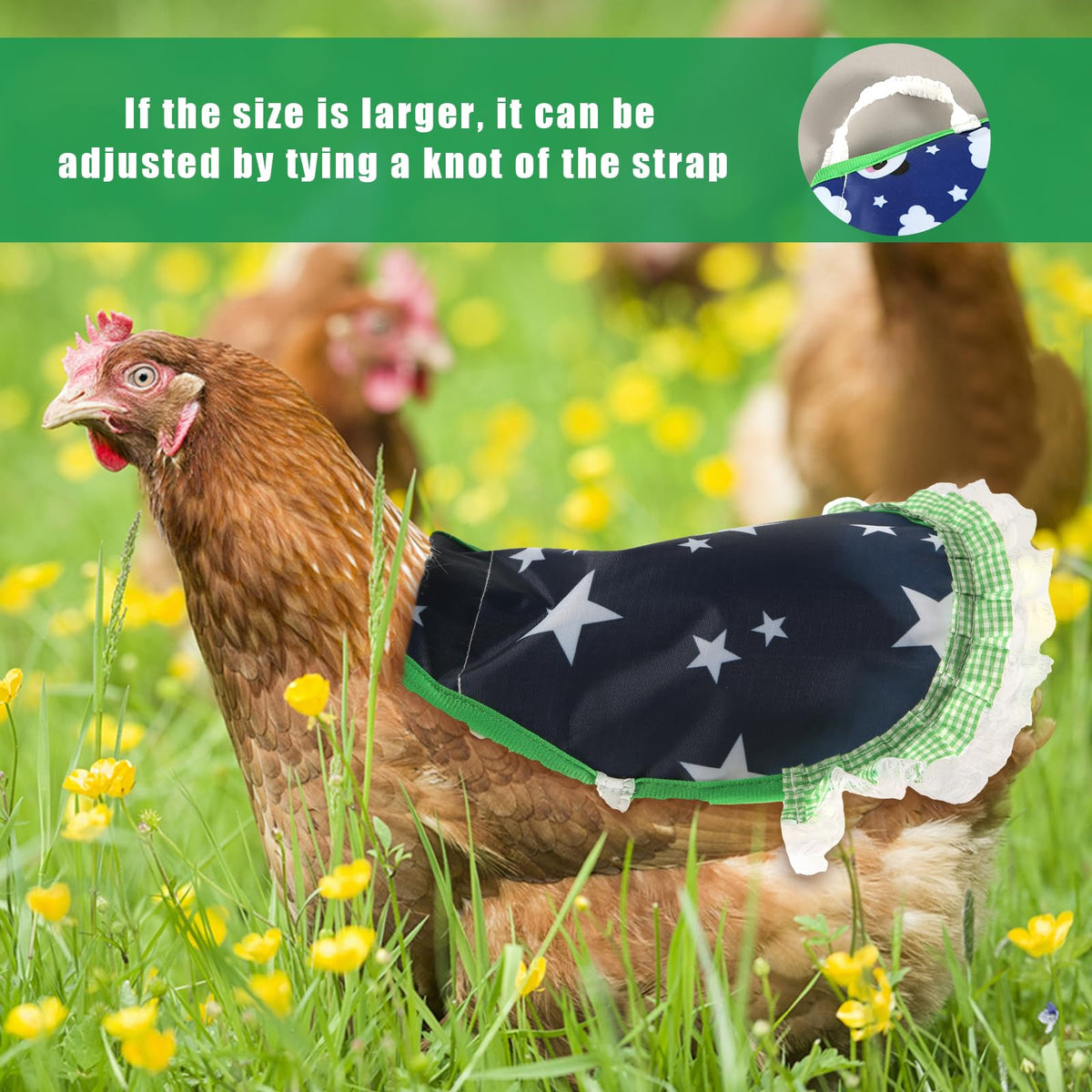 NQEUEPN saddle size adjustable fits small to medium hens