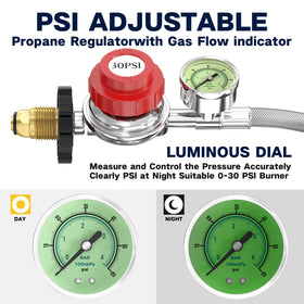 NQN gauge readout on regulator showing adjustable 0-30 psi output